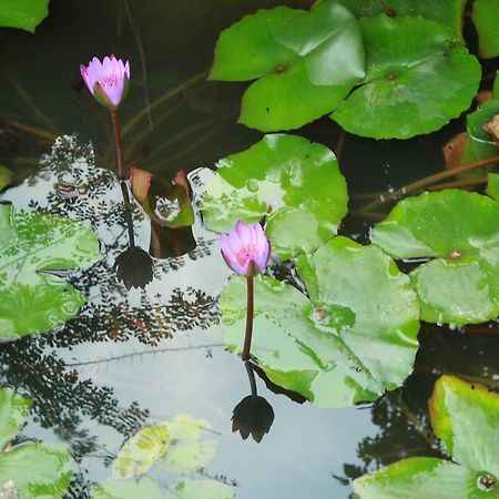 Khach San Linh Huong Hotel Son La Екстериор снимка